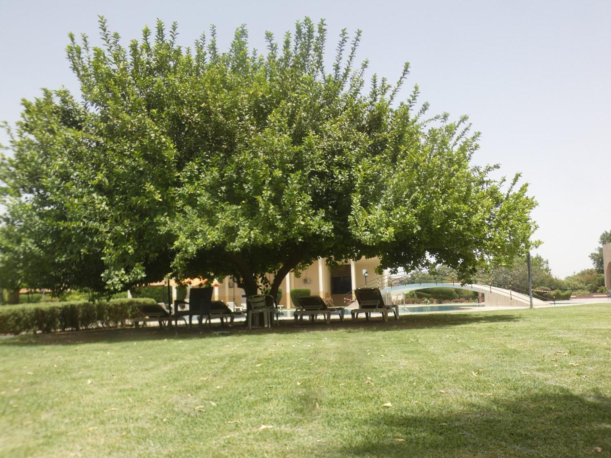 L'Amitie Hotel N'Djamena Luaran gambar